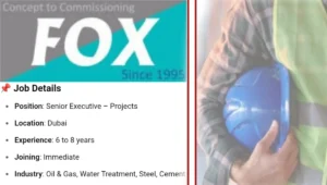 Fox Solutions Hiring Senior Executive