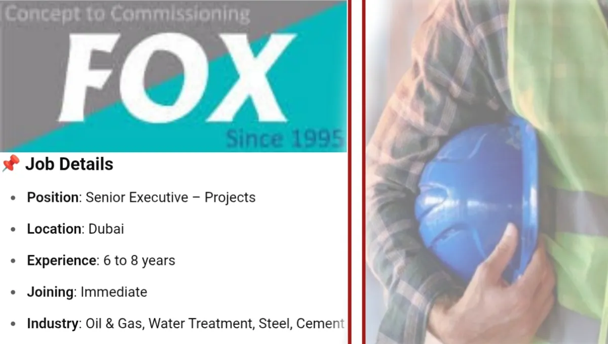 Fox Solutions Hiring Senior Executive