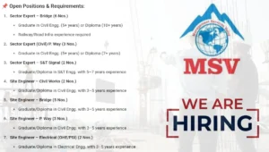 MSV Group Hiring 2025