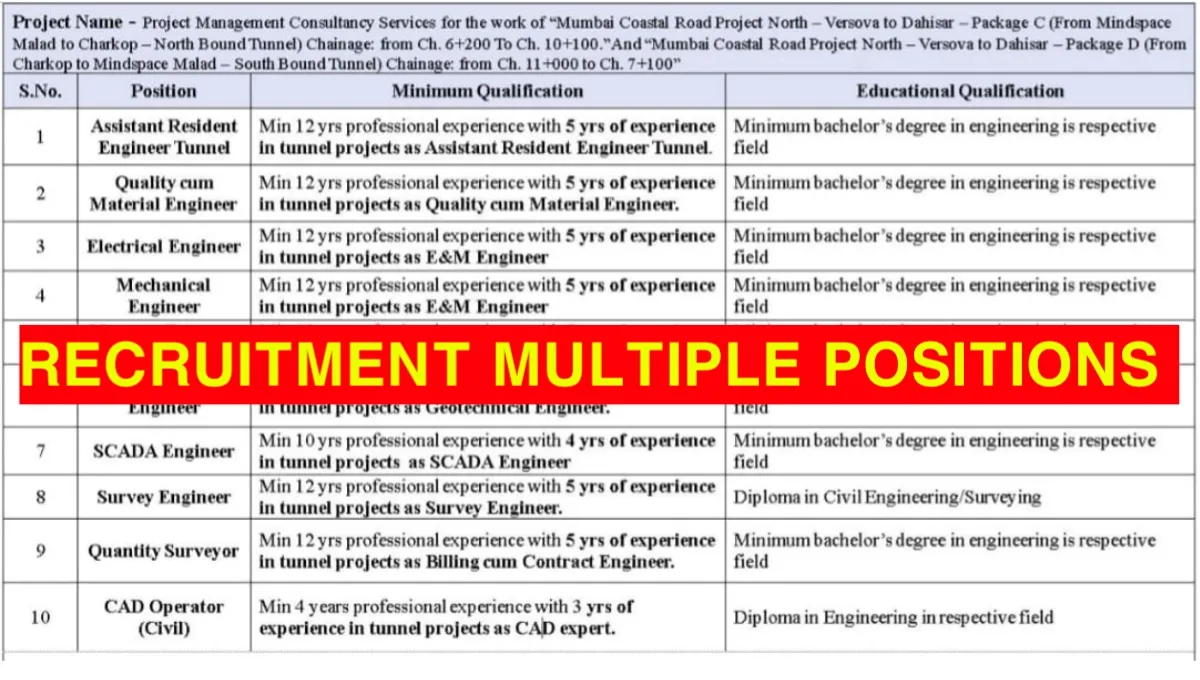 Meinhardt India Recruitment 2025