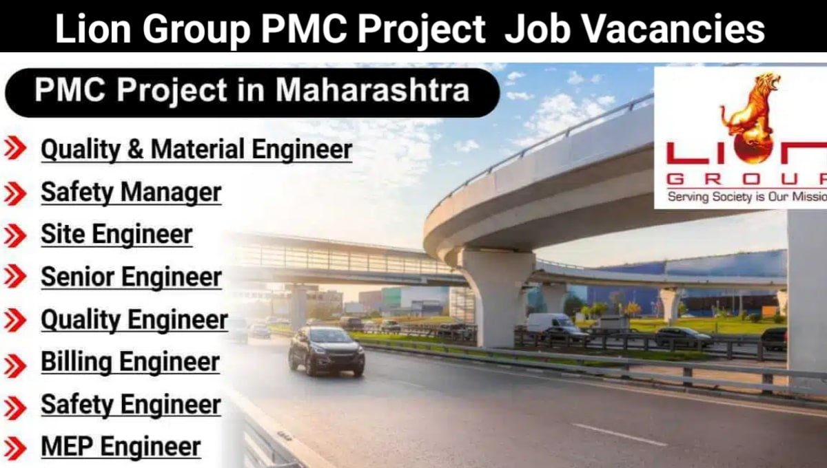 Lion Group PMC Project Job Vacancy