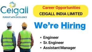 CEIGALL India Ltd Job Opening 2025