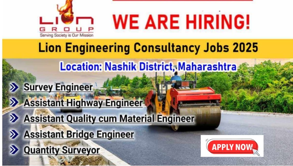 Lion Engineering Group Vacancy