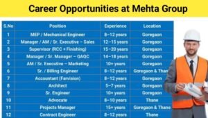 Mehta Group Careers