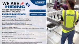 Meinhardt Group Job Openings 2025