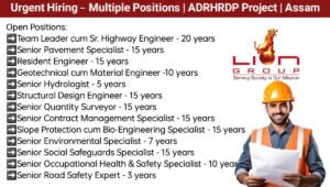 Exciting Career Opportunities with Lion Group