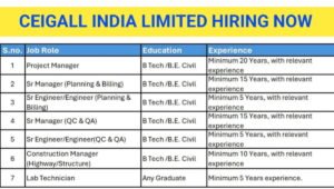Ceigall India Limited Careers